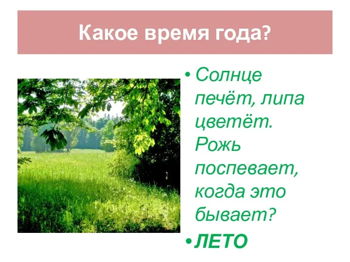 Какое время года? Солнце печёт, липа цветёт. Рожь поспевает, когда это бывает? ЛЕТО