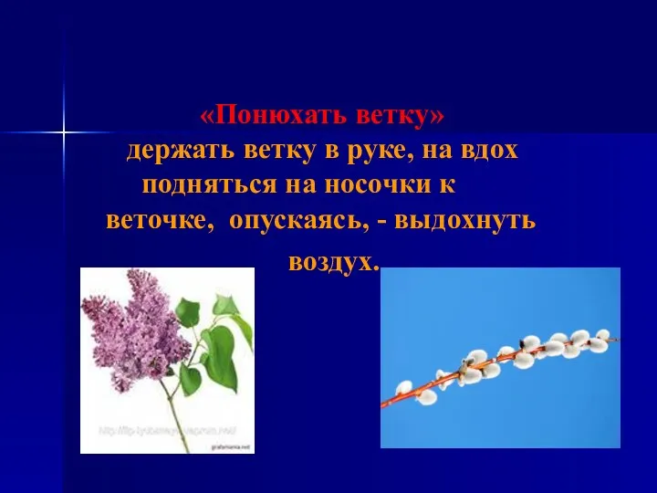 «Понюхать ветку» держать ветку в руке, на вдох подняться на носочки к веточке,