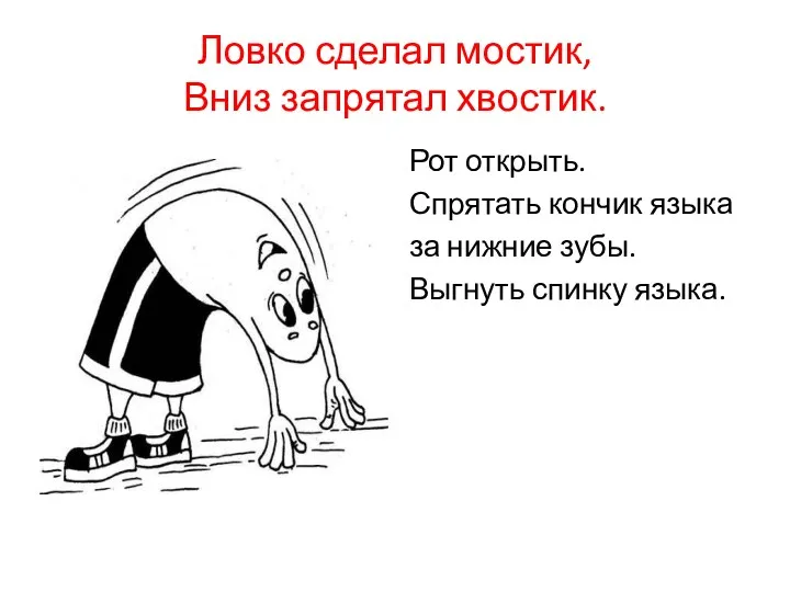 Ловко сделал мостик, Вниз запрятал хвостик. Рот открыть. Спрятать кончик языка за нижние