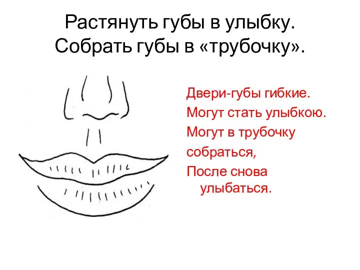 Растянуть губы в улыбку. Собрать губы в «трубочку». Двери-губы гибкие. Могут стать улыбкою.