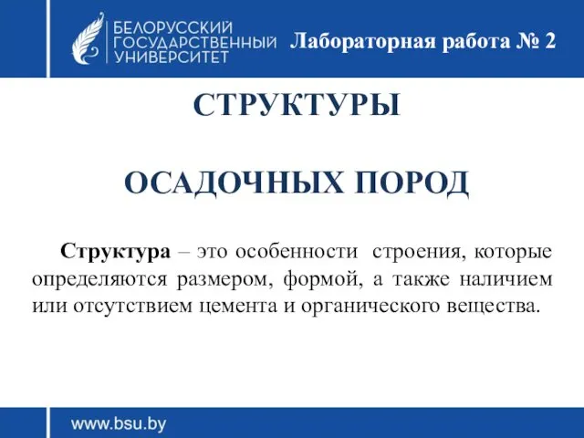 СТРУКТУРЫ ОСАДОЧНЫХ ПОРОД Структура – это особенности строения, которые определяются