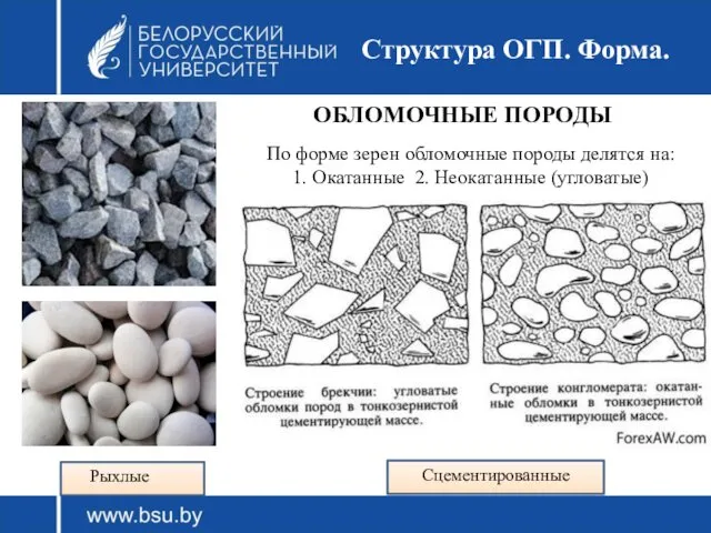 Структура ОГП. Форма. ОБЛОМОЧНЫЕ ПОРОДЫ По форме зерен обломочные породы