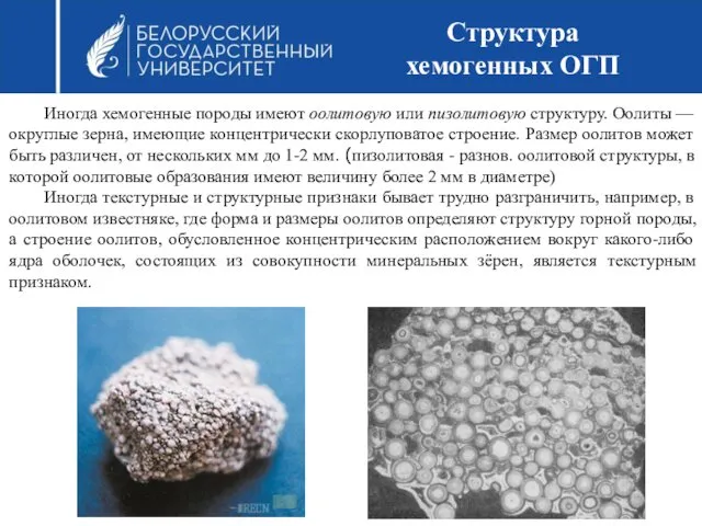 Иногда хемогенные породы имеют оолитовую или пизолитовую структуру. Оолиты —