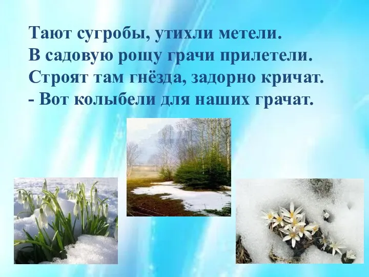 Тают сугробы, утихли метели. В садовую рощу грачи прилетели. Строят там гнёзда, задорно