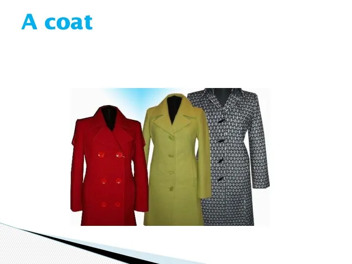 A coat