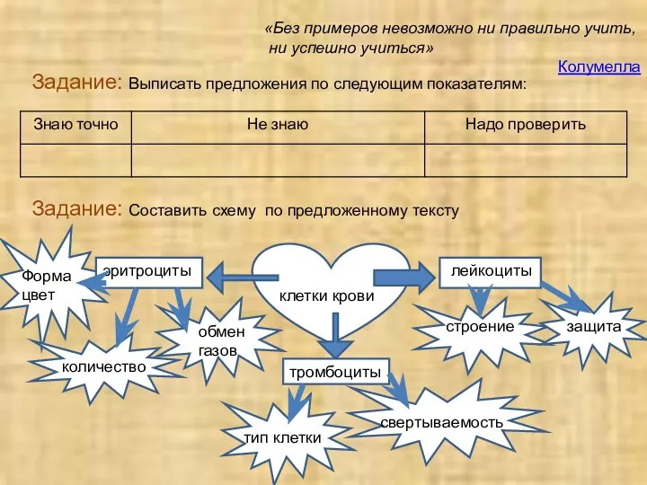 Задание: Выписать предложения по следующим показателям: «Без примеров невозможно ни