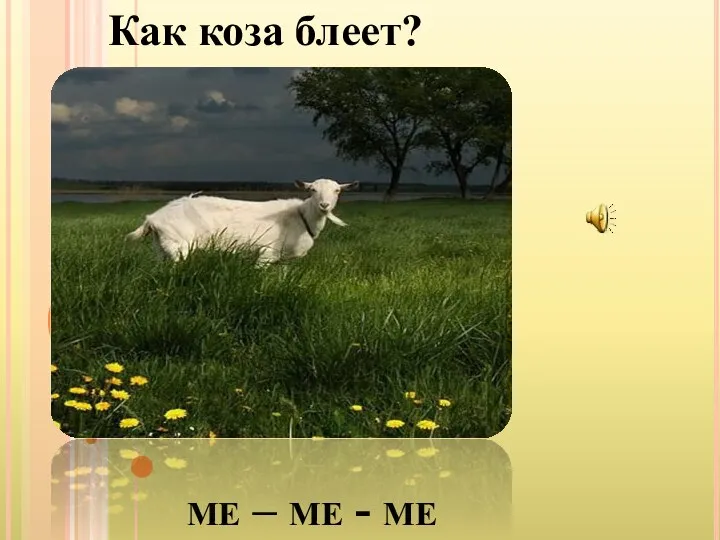 ме – ме - ме Как коза блеет?