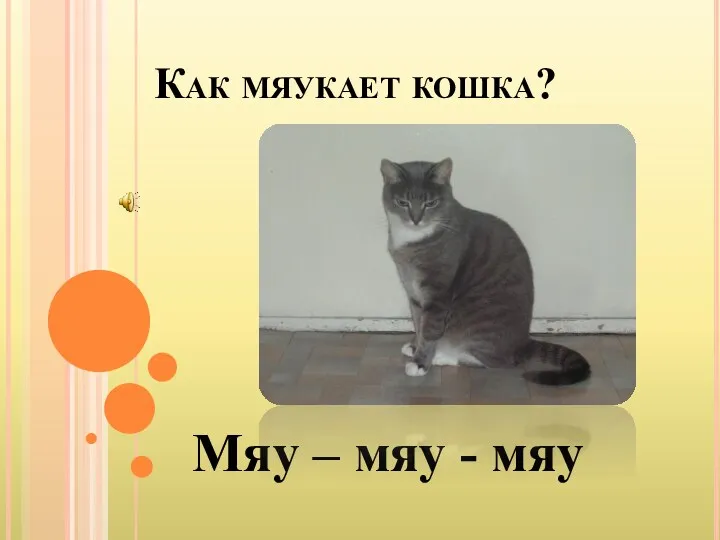 Как мяукает кошка? Мяу – мяу - мяу