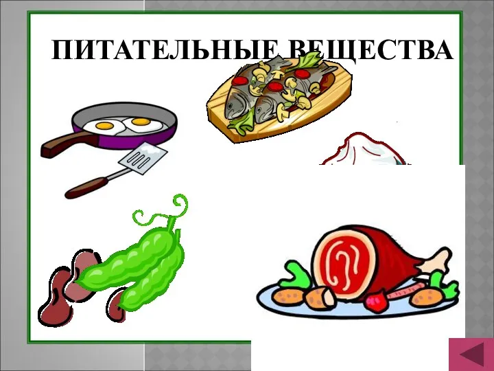 ПИТАТЕЛЬНЫЕ ВЕЩЕСТВА Белки