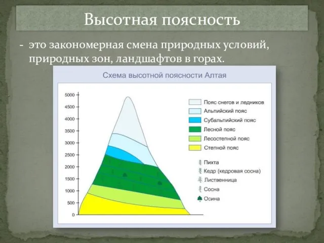 - это закономерная смена природных условий, природных зон, ландшафтов в горах. Высотная поясность