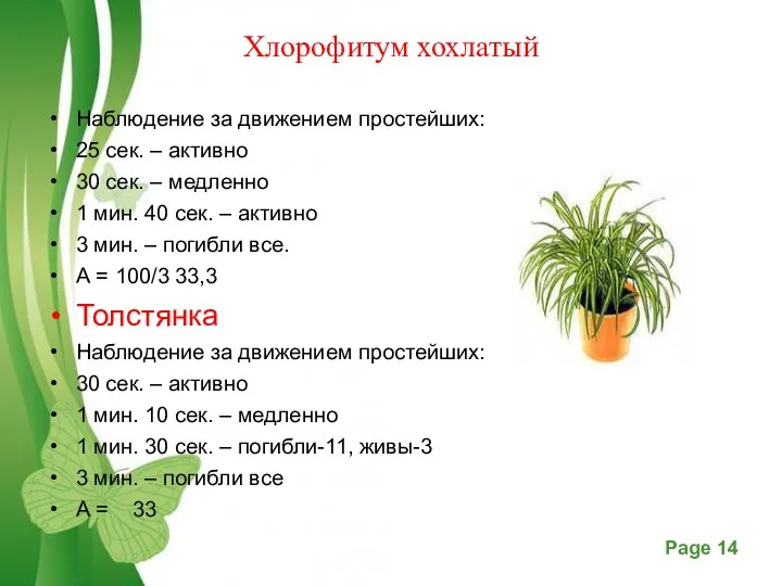 Хлорофитум хохлатый Наблюдение за движением простейших: 25 сек. – активно