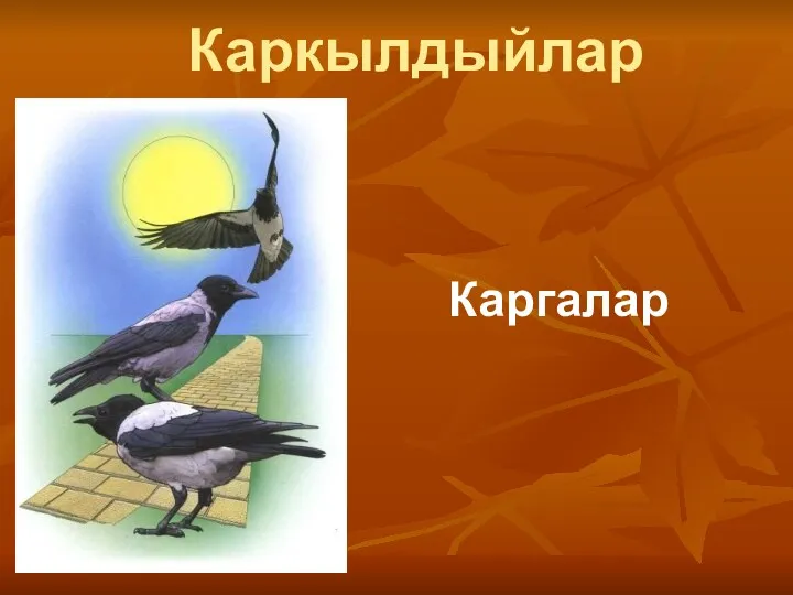 Каркылдыйлар Каргалар