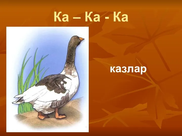 Ка – Ка - Ка казлар