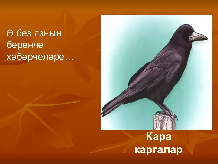 Кара каргалар Ә без язның беренче хәбәрчеләре…