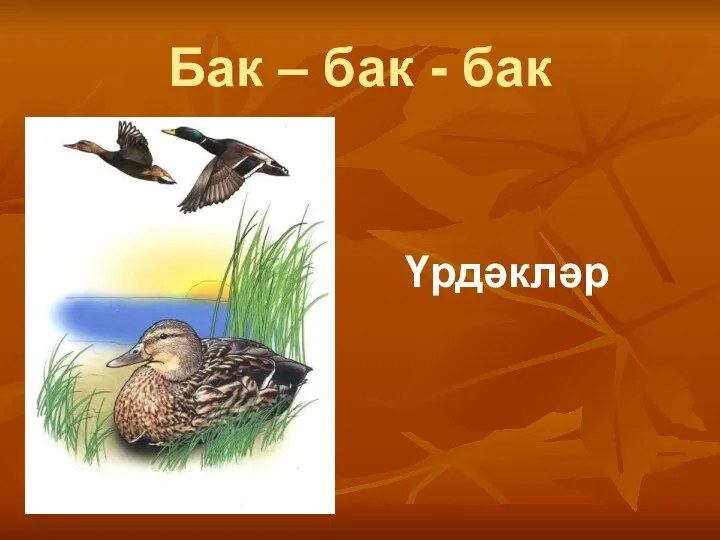 Бак – бак - бак Үрдәкләр