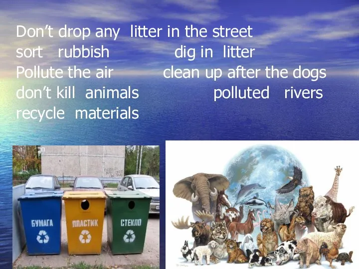 Don’t drop any litter in the street sort rubbish dig