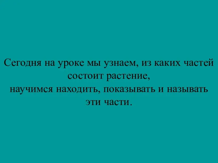 Сегодня на уроке мы узнаем, из каких частей состоит растение, научимся находить, показывать