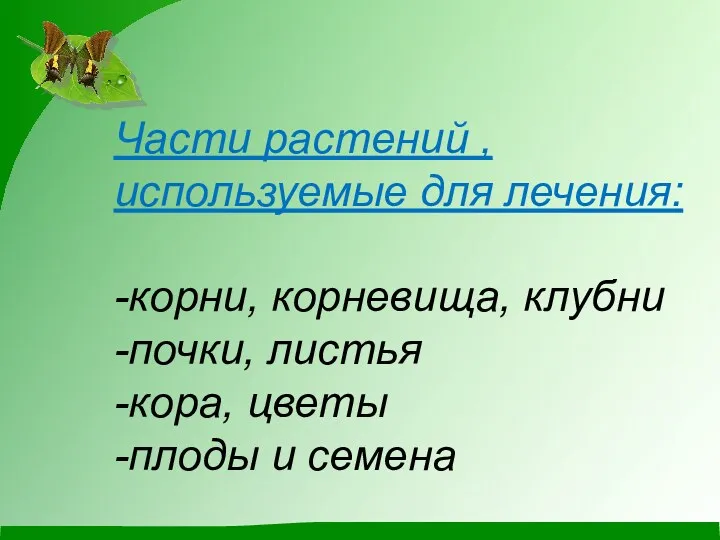 Части растений , используемые для лечения: -корни, корневища, клубни -почки, листья -кора, цветы -плоды и семена