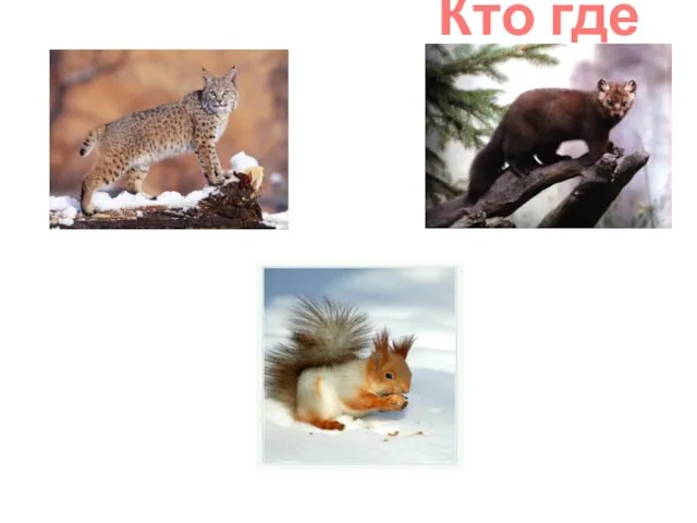 Кто где живет?