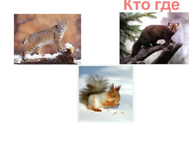 Кто где живет?