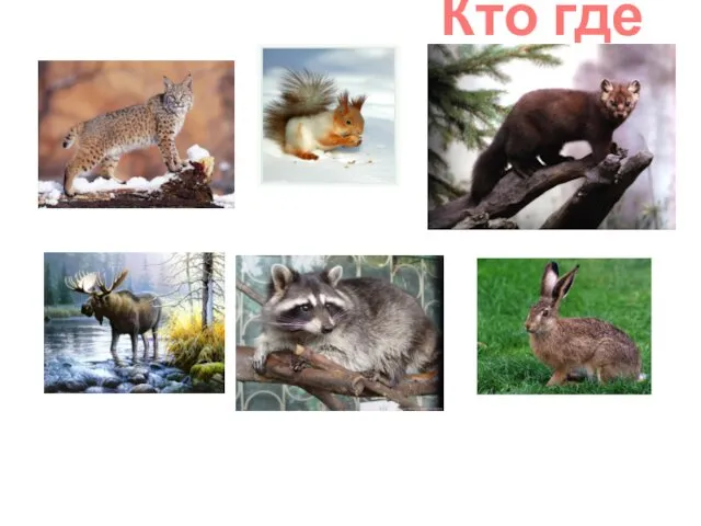 Кто где живет?