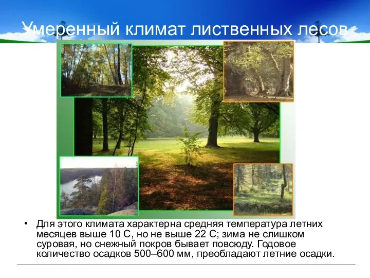 Умеренный климат лиственных лесов Для этого климата характерна средняя температура летних месяцев выше
