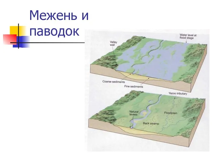 Межень и паводок