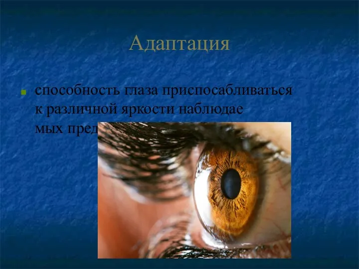 Адаптация способность глаза приспосабливаться к различной яркости наблюдае­мых предметов.