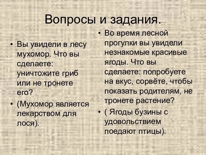 Вопросы и задания. Вы увидели в лесу мухомор. Что вы