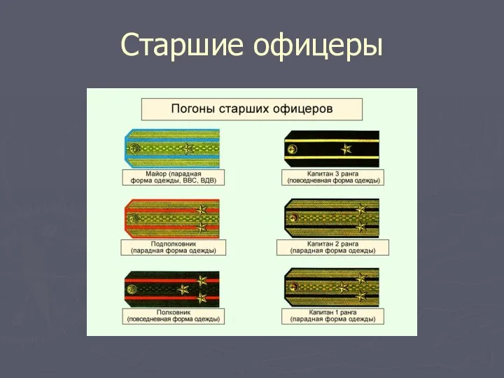 Старшие офицеры