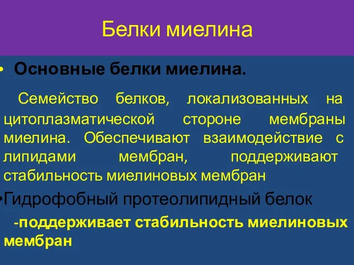 Белки миелина Основные белки миелина. Семейство белков, локализованных на цитоплазматической