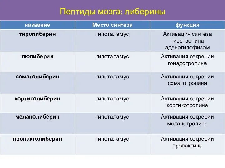 Пептиды мозга: либерины