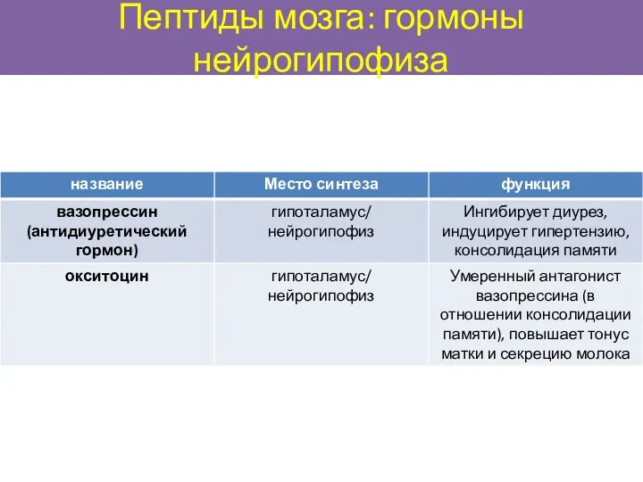 Пептиды мозга: гормоны нейрогипофиза