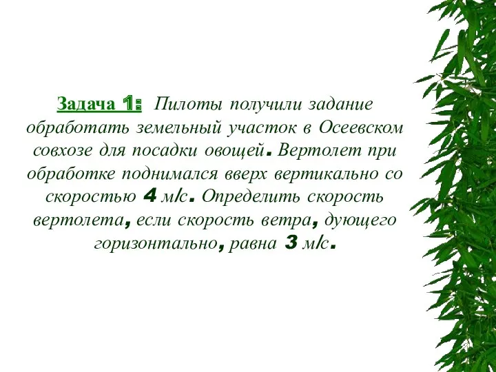 Задача 1: Пилоты получили задание обработать земельный участок в Осеевском совхозе для посадки