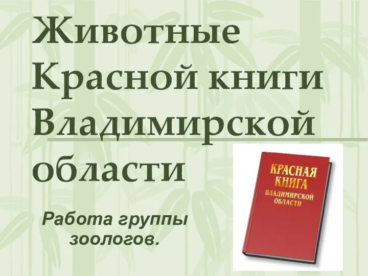 Животные Красной книги Владимирской области Работа группы зоологов.