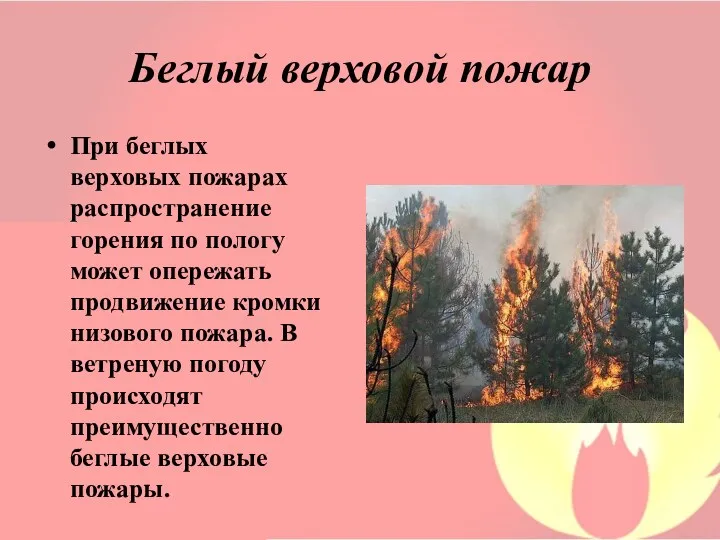 Беглый верховой пожар При беглых верховых пожарах распространение горения по