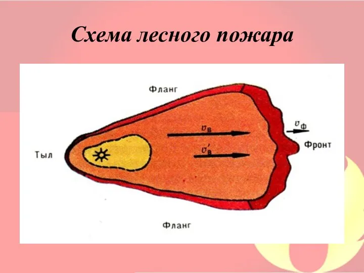 Схема лесного пожара