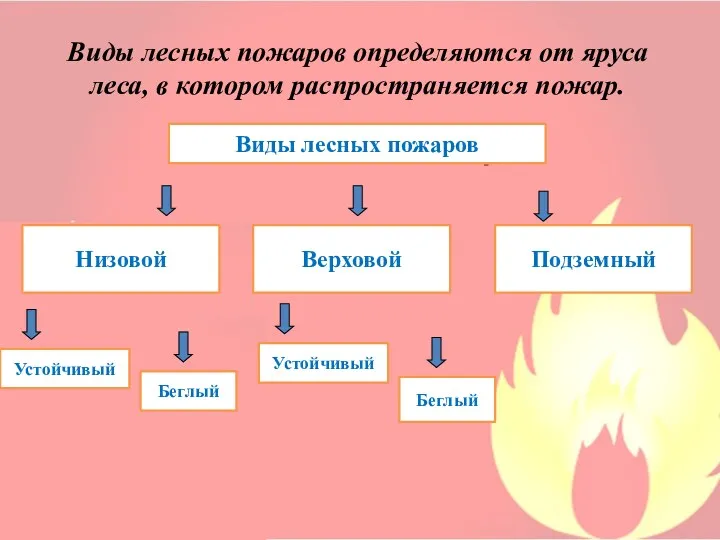 Виды лесных пожаров определяются от яруса леса, в котором распространяется