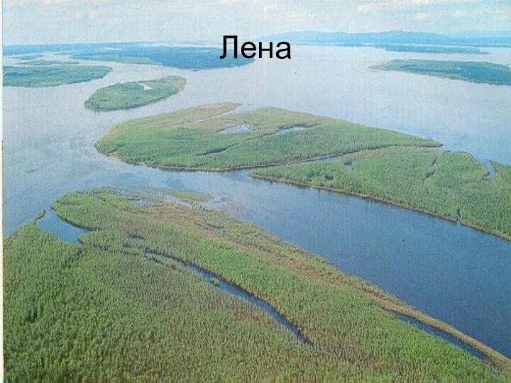 Лена