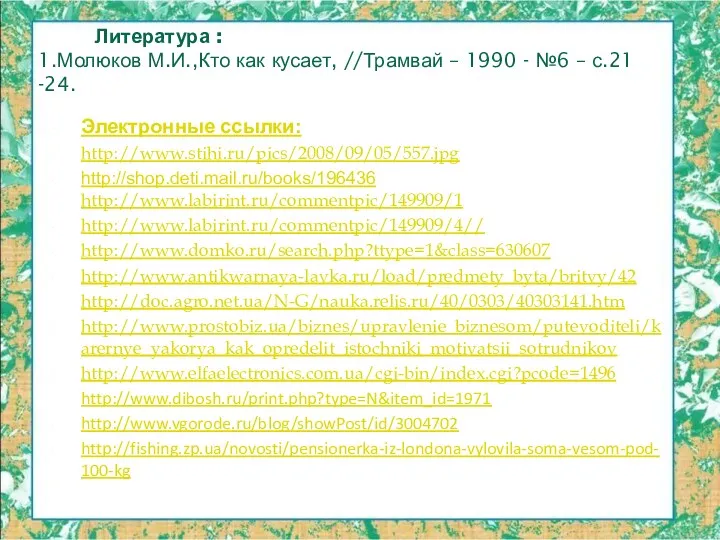 Электронные ссылки: http://www.stihi.ru/pics/2008/09/05/557.jpg http://shop.deti.mail.ru/books/196436 http://www.labirint.ru/commentpic/149909/1 http://www.labirint.ru/commentpic/149909/4// http://www.domko.ru/search.php?ttype=1&class=630607 http://www.antikwarnaya-lavka.ru/load/predmety_byta/britvy/42 http://doc.agro.net.ua/N-G/nauka.relis.ru/40/0303/40303141.htm http://www.prostobiz.ua/biznes/upravlenie_biznesom/putevoditeli/karernye_yakorya_kak_opredelit_istochniki_motivatsii_sotrudnikov