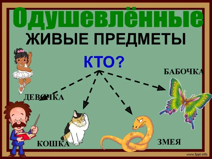 ЖИВЫЕ ПРЕДМЕТЫ Одушевлённые КТО? ДЕВОЧКА КОШКА ЗМЕЯ БАБОЧКА