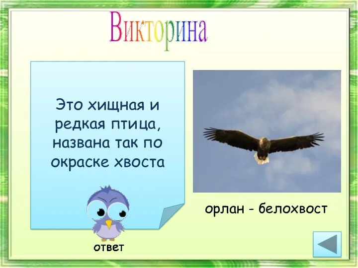 Викторина Это хищная и редкая птица, названа так по окраске хвоста