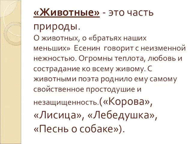 «Животные» - это часть природы. О животных, о «братьях наших