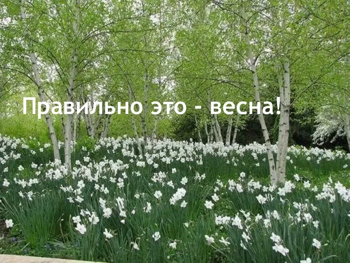 Правильно это - весна!