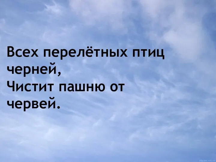 Всех перелётных птиц черней, Чистит пашню от червей.