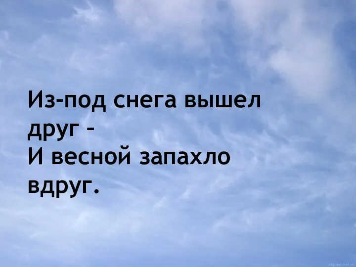 Из-под снега вышел друг – И весной запахло вдруг.