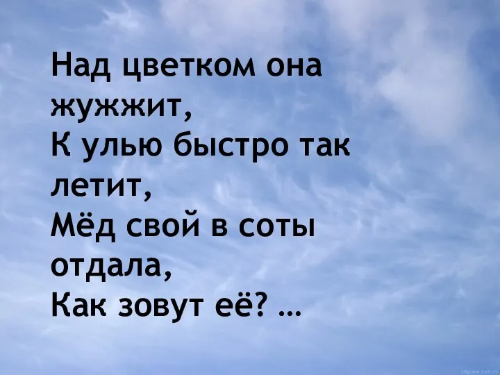 Над цветком она жужжит, К улью быстро так летит, Мёд