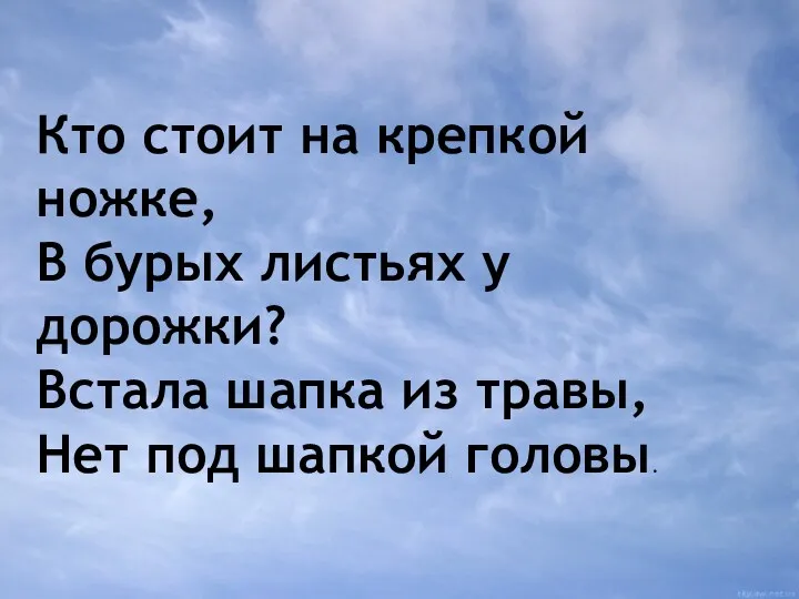 Кто стоит на крепкой ножке, В бурых листьях у дорожки?