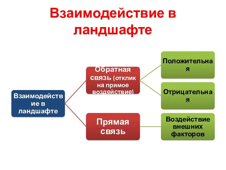 Взаимодействие в ландшафте