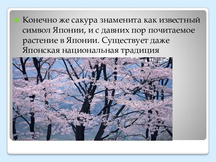 Конечно же сакура знаменита как известный символ Японии, и с